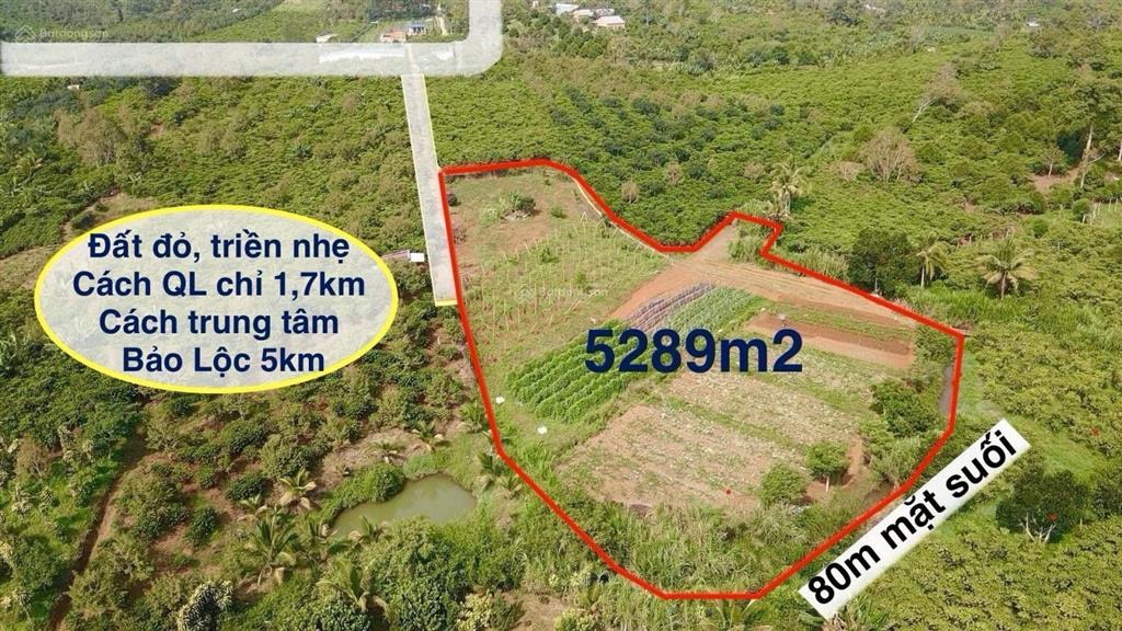 5289m2 giáp suối chỉ 3,4 tỷ tại tp bảo lộc