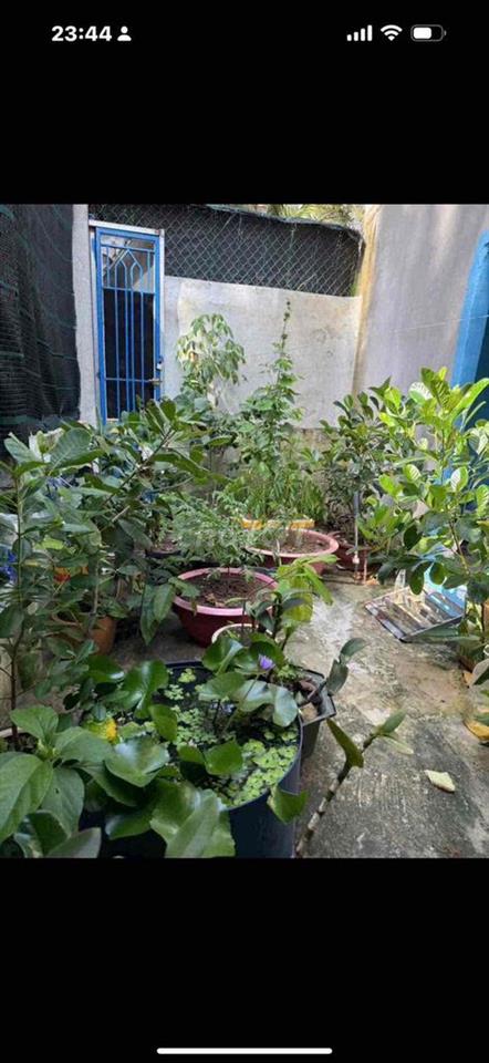 nhà không ở cần bán
