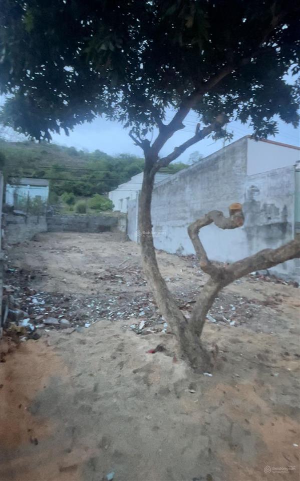 Bán đất full thổ cư 234m2 cổng dự án đô thị mặt trời mặt đường huỳnh thúc kháng