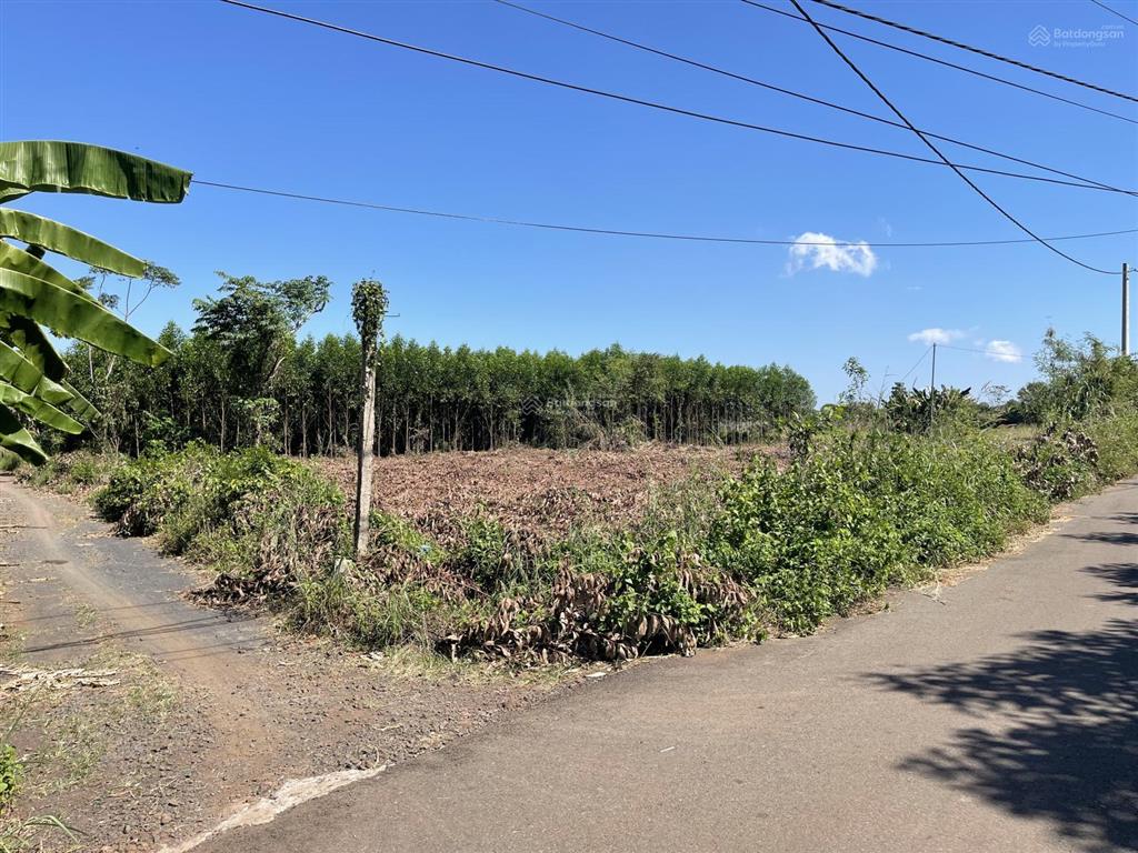 Bán 149m2 có 80m2 thổ cư 2 mặt tiền đường nhựa 6m đất f0 khu dân cư hiện hữu đông đúc