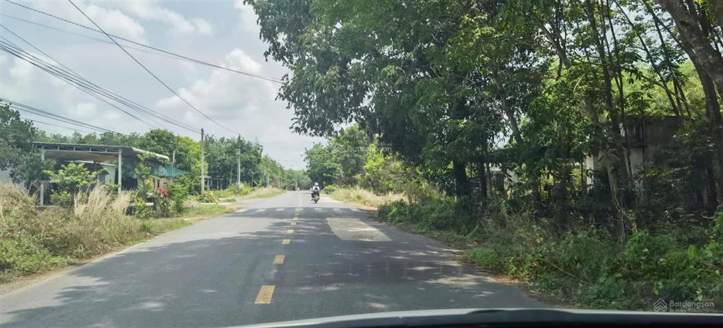 Bán gần 3 mẫu đất trồng tràm dưới ấp cây ổi, hòa thạnh, tây ninh.  0919 093 ***