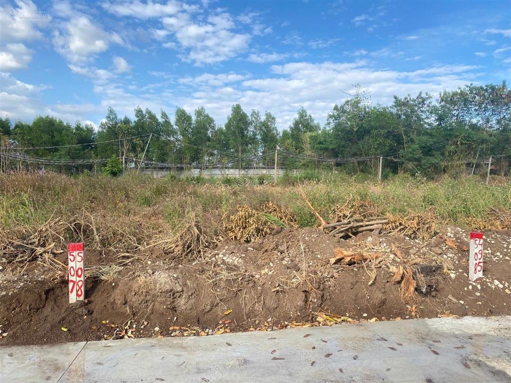 Bán đất gần chợ láng me xuân đông cẩm mỹ giá hơn 360 triệu