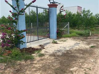 Gia đình ở xa cần bán một mẫu đất nông nghiệp ở hòa thạnh, tây ninh