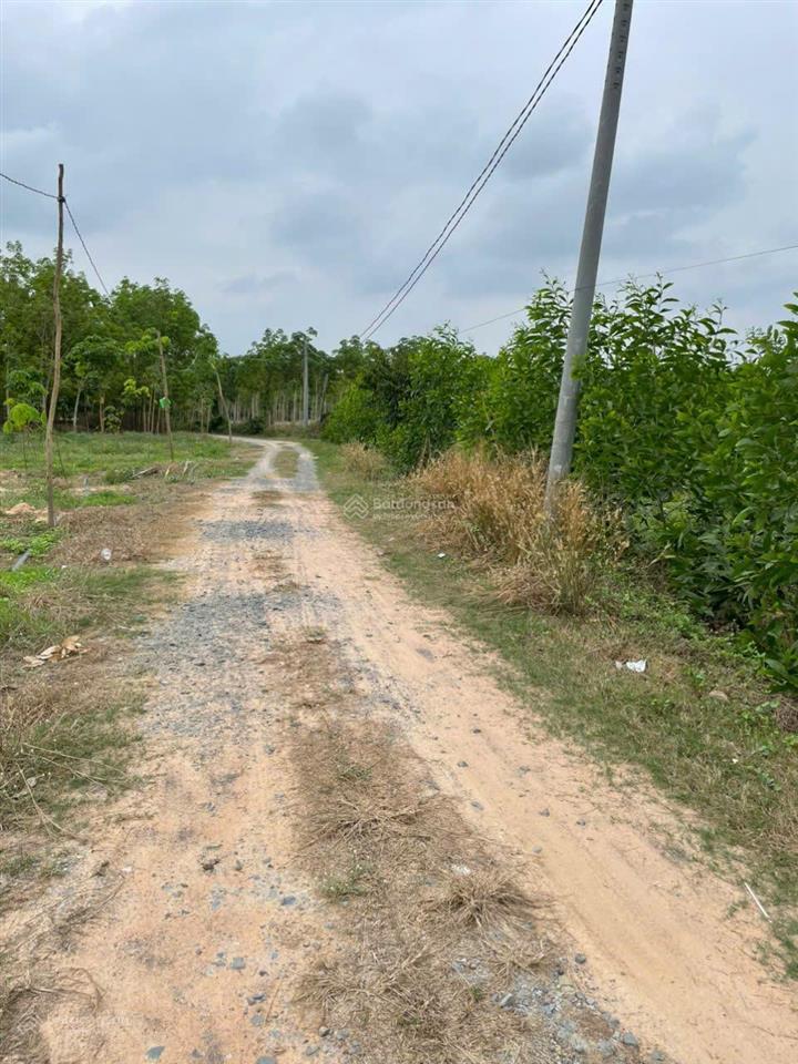 Nhà ở sài gòn cần bán 1 mẫu đất dưới xã hòa thạnh, tây ninh. cần bán rất gấp!