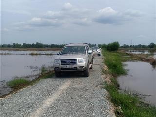 Nhượng quyền sử dụng đất nông nghiệp phường tân phú trung, huyện củ chi, tp.hcm. dtsd 2.448 m2