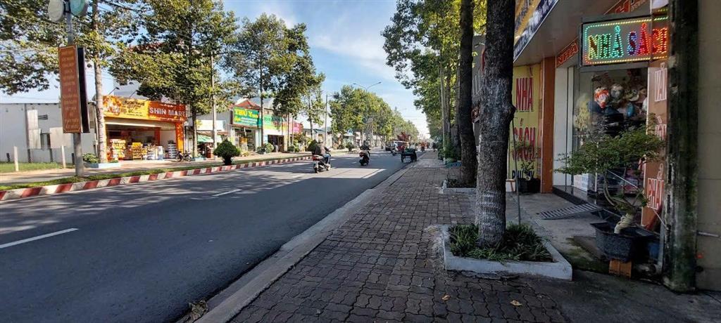 Chính chủ bán nhà mặt tiền số 556 huỳnh văn lũy phường bình dương (tp. hcm)