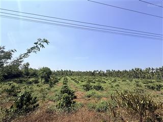 6,3 sào (75x85m) góc 2 mặt đường nhựa buôn triết hẻm cấp 1 ql27 cư kuin giá 650tr/sào quỳnh anh