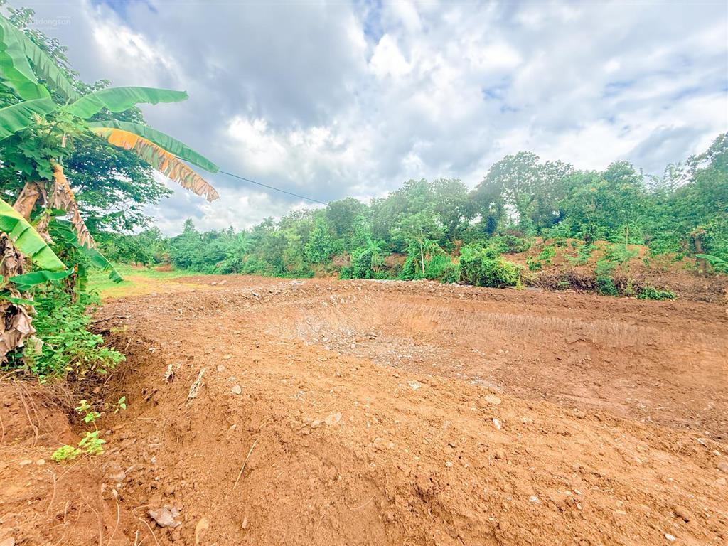 5,5 sào đất đỏ bazan buôn ko đung 260tr/sào cách ngã 6 đúng 14km quỳnh anh