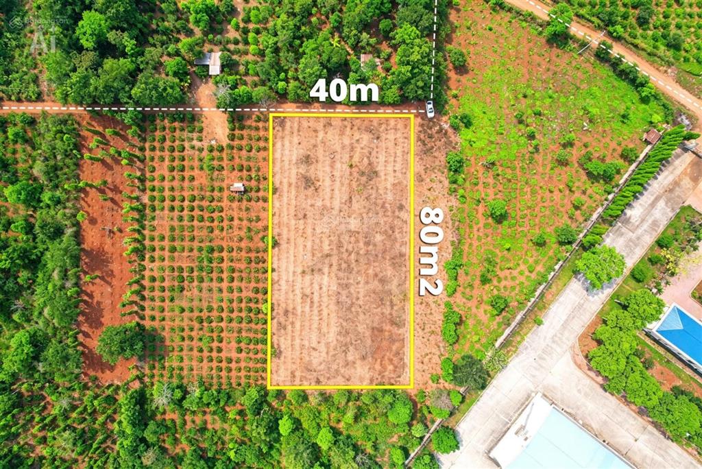 3,2 sào (40x80m) sát bên kcn tân an hà huy tập thông vành đai 14&26 giá 4,8 tỷ quỳnh anh