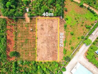 3,2 sào (40x80m) sát bên kcn tân an hà huy tập thông vành đai 14&26 giá 4,8 tỷ quỳnh anh