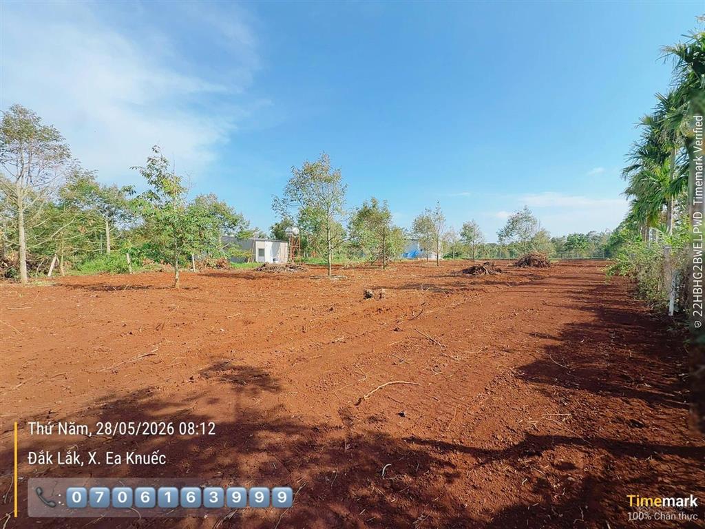 Thổ cư 100% tổng hơn 1 sào thuộc km15 xã hoà đông krongpak cách đường hcm 800m 3,98 tỷ (tl)