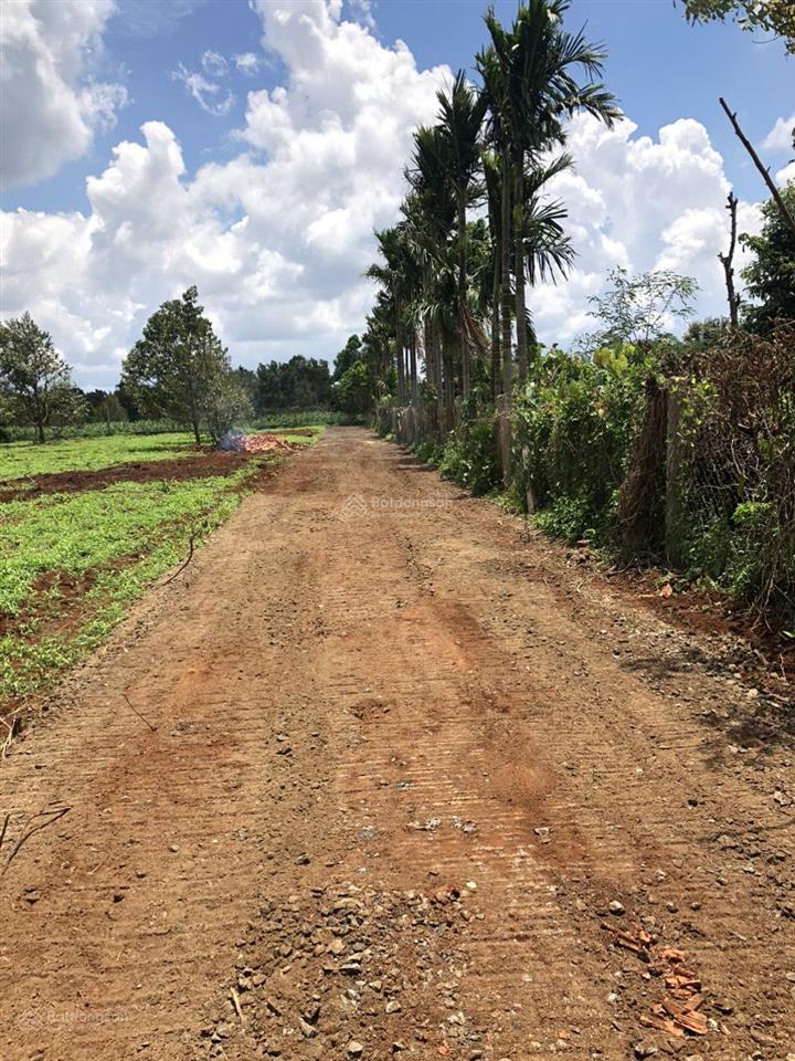 Thổ cư 100% tổng hơn 1 sào thuộc km15 xã hoà đông krongpak cách đường hcm 800m 3,98 tỷ (tl)