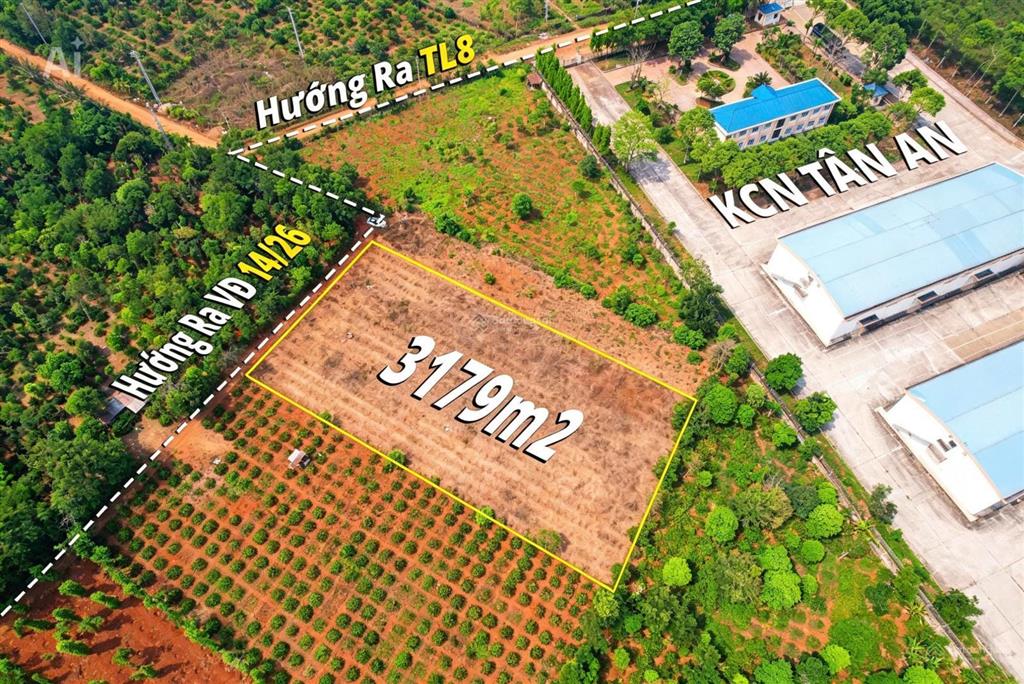 3,2 sào sát bên kcn tân an hẻm cấp 1 vành đai chỉ 4 tỷ quỳnh anh