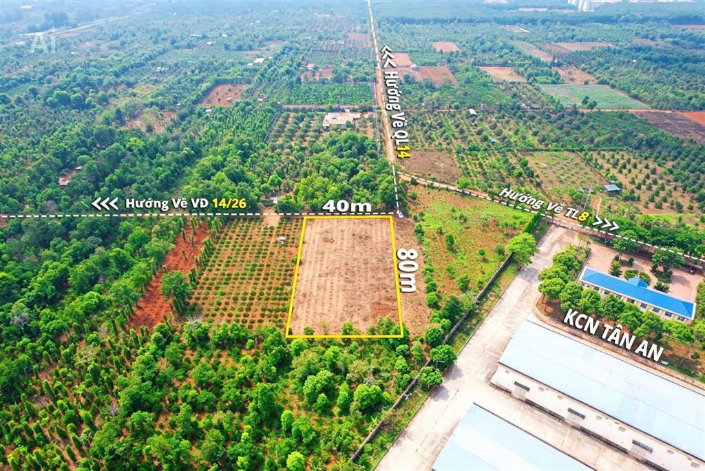 3,2 sào sát bên kcn tân an hẻm cấp 1 vành đai chỉ 4 tỷ quỳnh anh