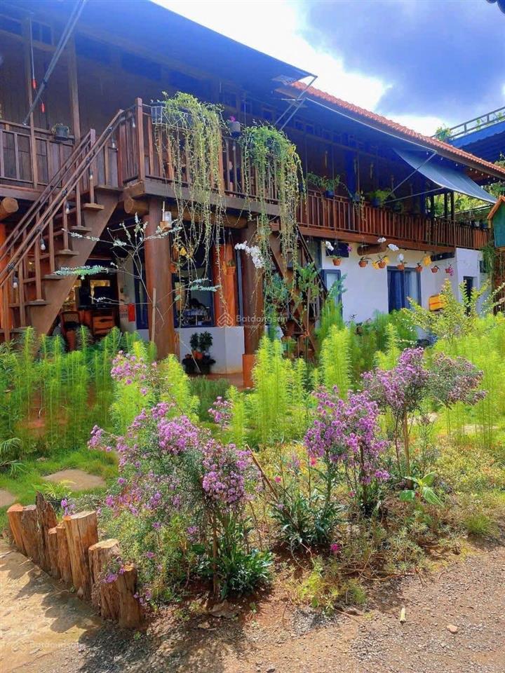 Homestay ngay trung tâm tân lợi view đồi hoàng hôn 17x20m tc 100% 7,9 tỷ quỳnh anh