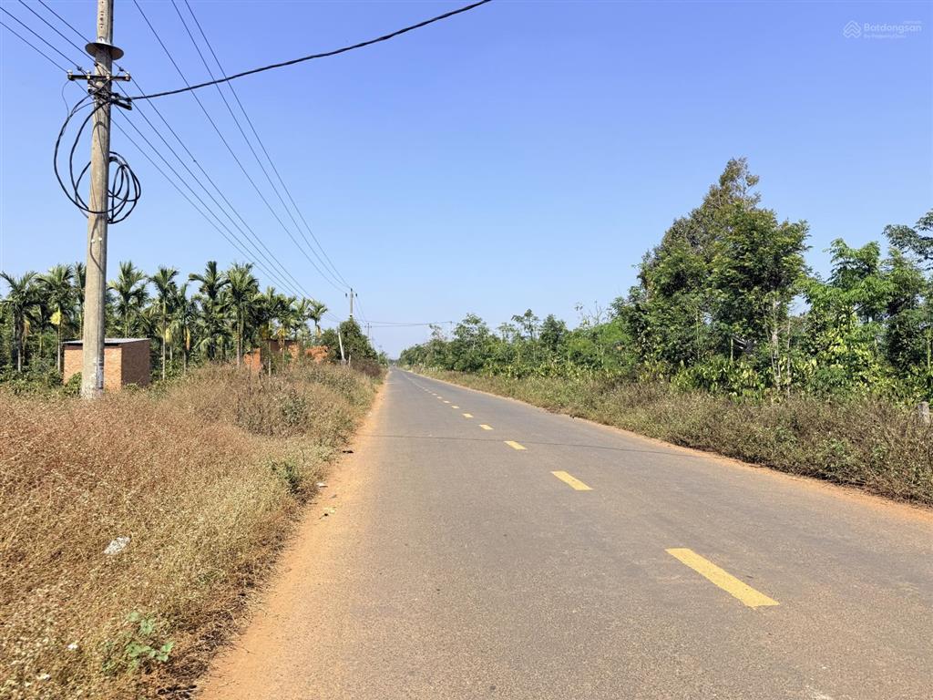 6,3 sào (75x85m) góc 2 mặt đường nhựa buôn triết hẻm cấp 1 ql27 cư kuin giá 3,9 tỷ quỳnh anh