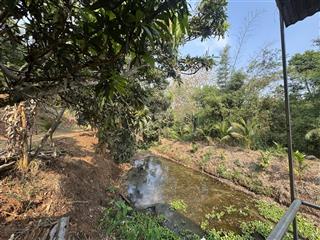 2,5ha đất đồi ôm suối 400m cuối thôn 1 cách chợ đạt lý 5km thuộc ea pốk giá 9,5 tỷ