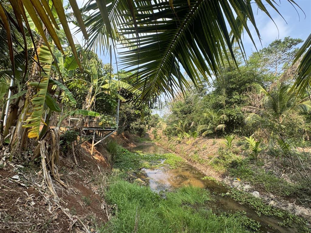 2,5ha đất đồi ôm suối 400m cuối thôn 1 cách chợ đạt lý 5km thuộc ea pốk giá 9,5 tỷ
