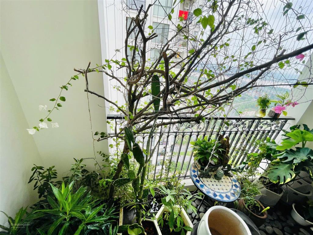 Bán sunshine riverside căn góc tòa r3 view trực diện cầu nhật tân