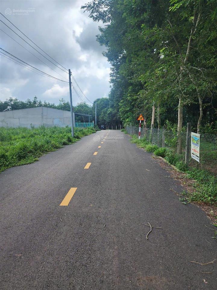Chính chủ cần bán lô đất đẹp đường nhựa tại xã tân long, tphcm
