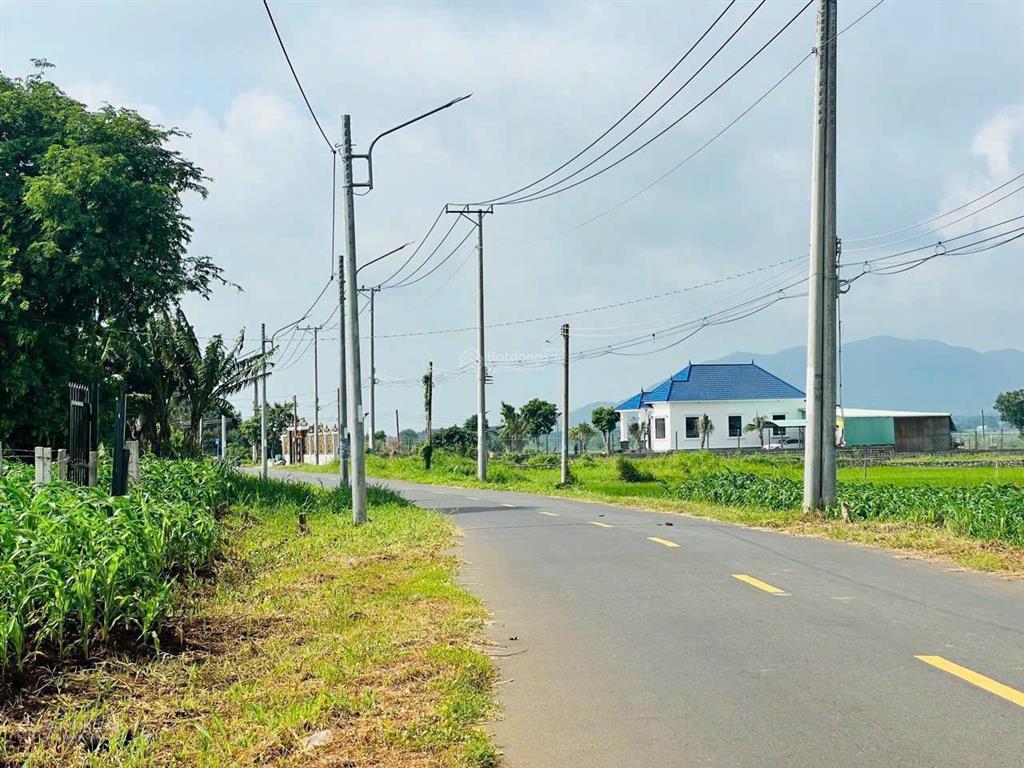Bán đất gần cánh đồng lúa an nhứt, thị trấn đất đỏ, huyện long đất, bà rịa vũng tàu