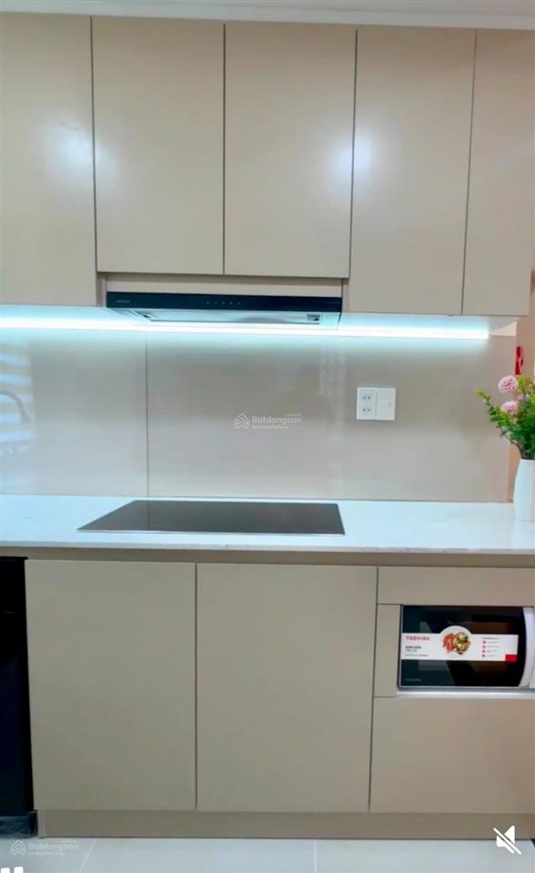 Cho thuê gấp cc mỹ khánh 4 mới 100%, 35 triệu, 113m2, 3pn, 2wc, q7, hồ chí minh