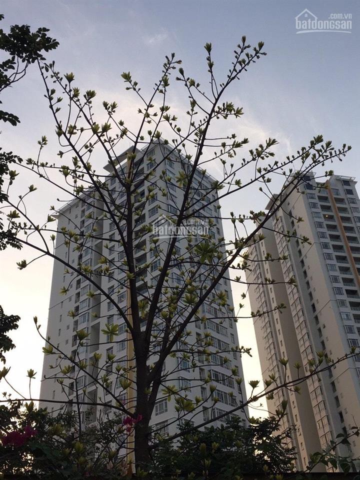 Cho thuê riverside residence phú mỹ hưng 82m² 2pn  chỉ 18tr/th  0938 784 *** em thư