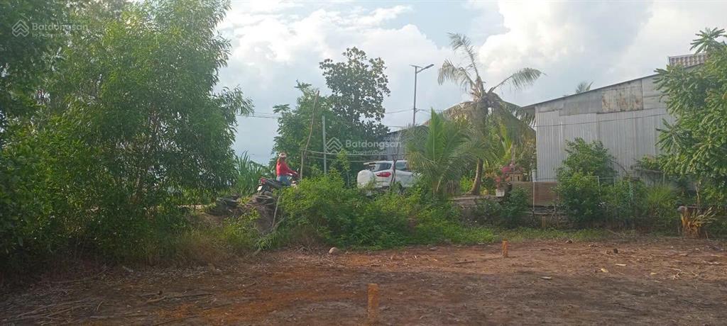 Cần bán đất 6.5x29m ngay chợ tân thạnh, full thổ cư, thuận tiện kinh doanh, trọ.  chủ 0906 326 ***