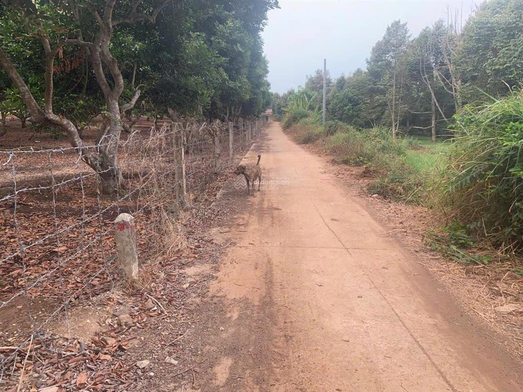 Cần bán đất xã phú cường, định quán, đồng nai