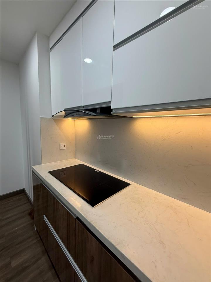 Chính chủ cần bán căn hộ chung cư cao cấp vinhomes d'capitale  119 trần duy hưng 73m2 full đồ