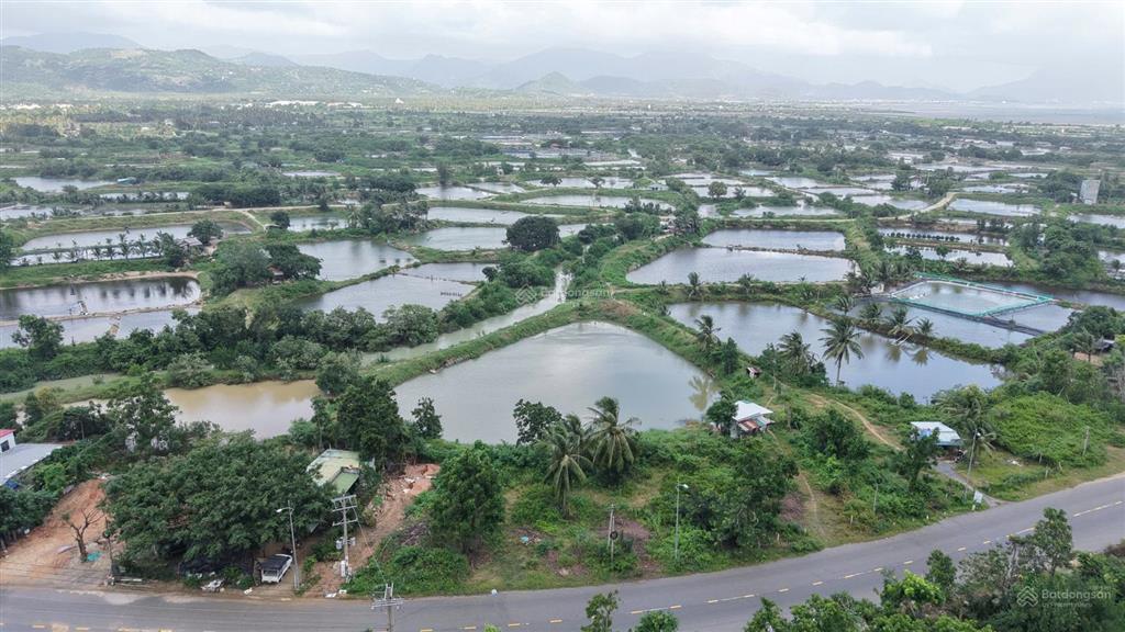 Đất vịnh cam ranh kế bên vinhomes cam ranh chỉ 13tr/m2