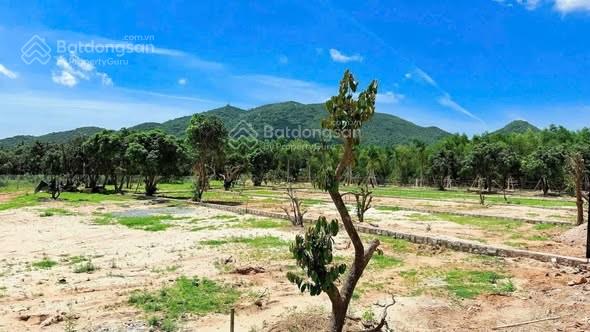 Bán đất tại phước hải, 1,9 tỷ, 414 m2, hàng hot