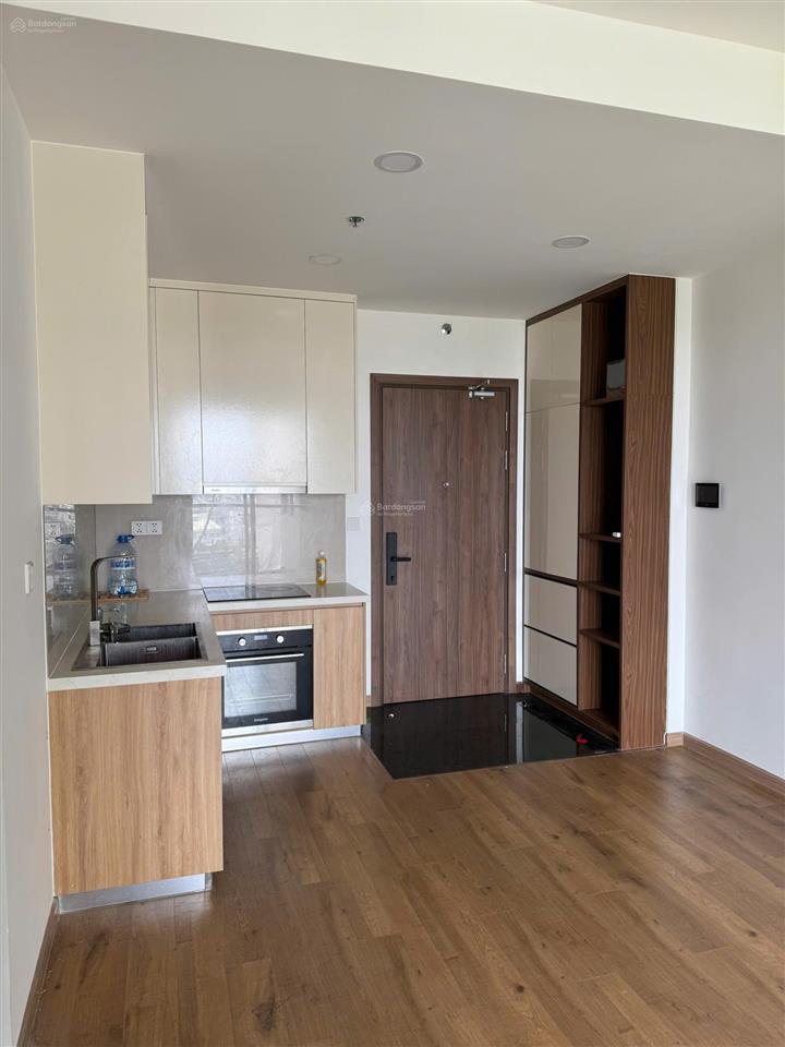 Thuê ngay akneo sang chảnh có nt 61m², chỉ 9,5 triệu/tháng tại akari city hcm