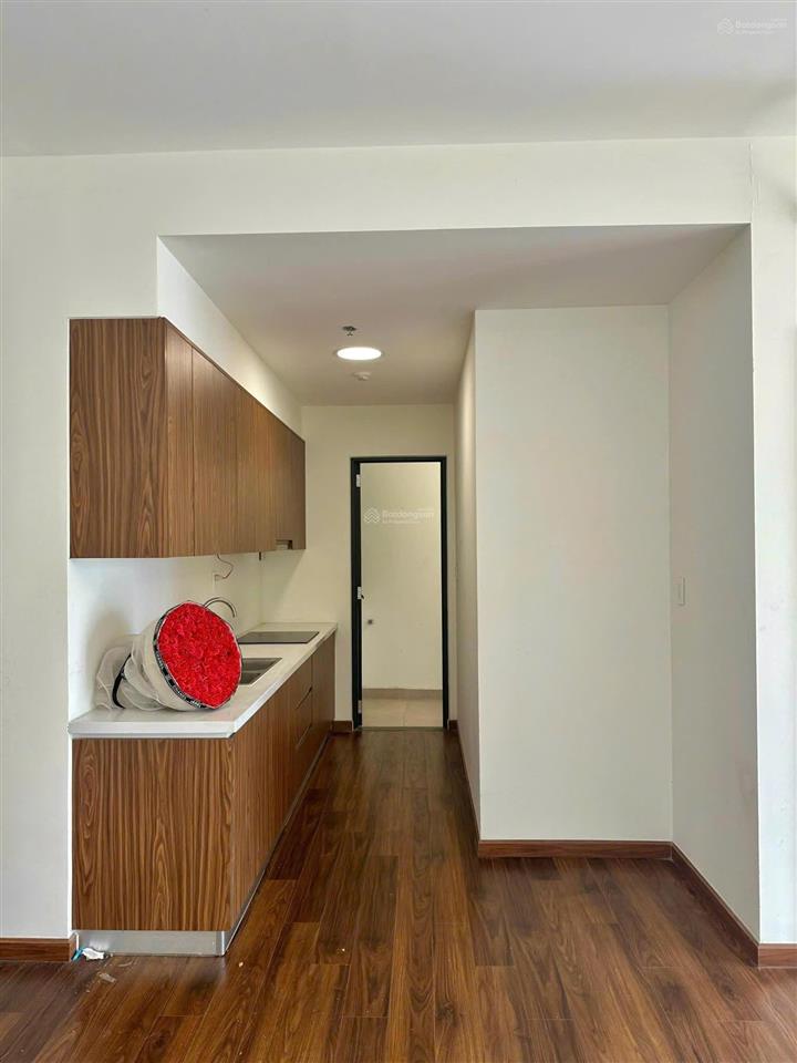 Sổ sẵn view đẹp giá hờ 75m chỉ 4.050 tỷ tại akari city bình tân tphcm