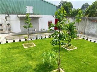 Cần bán gấp nhà xưởng đang cho thuê 40tr/tháng mt nhuận đức xã nhuận đức củ chi, trên 1000m2