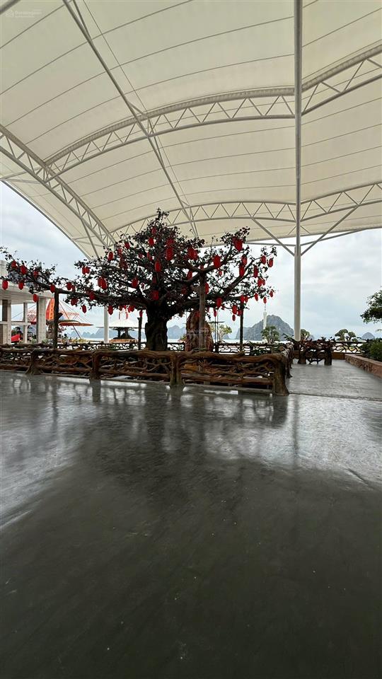 Bán chung cư đầu tiên tại khu đô thị phương đông vân đồn, 1,65 tỷ, 30m2,  0368 468 ***