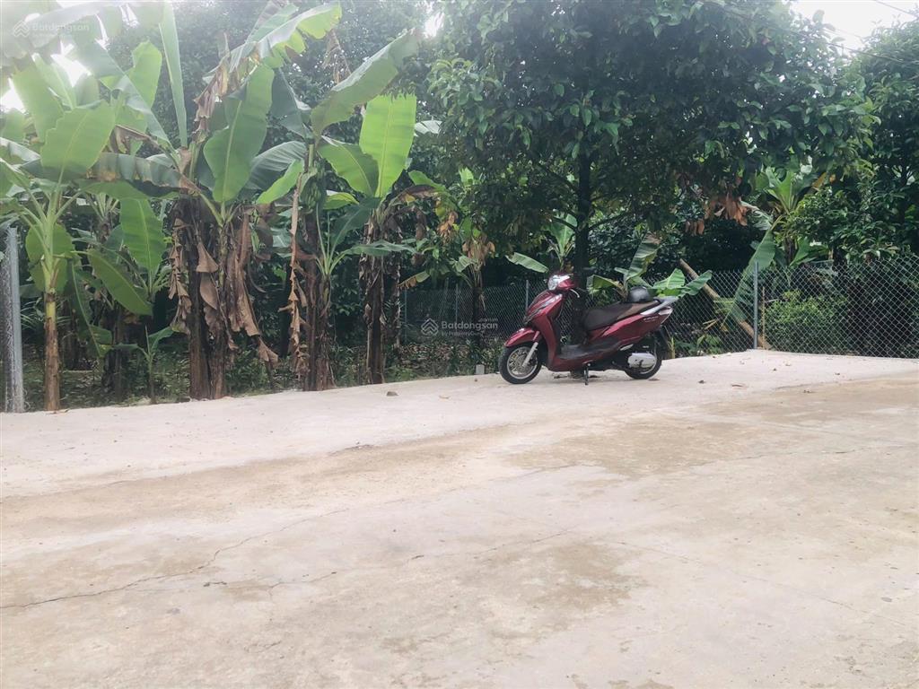Kẹt tiền bán đất đẹp xây biệt thự vườn bình nhâm 30 | 432m² (10x43m)