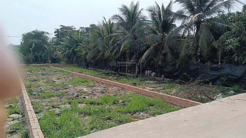 Đất thổ cư 150m2 ngay chân cầu phú long đường xe tải 6m, xây tự do
