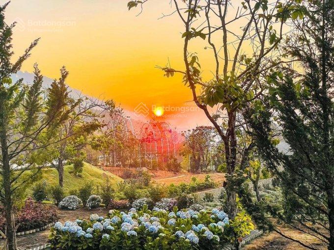 Cần bán khu đất nghỉ dưỡng gần 3hecta làm resort trong hồ tuyền lâm  đà lạt