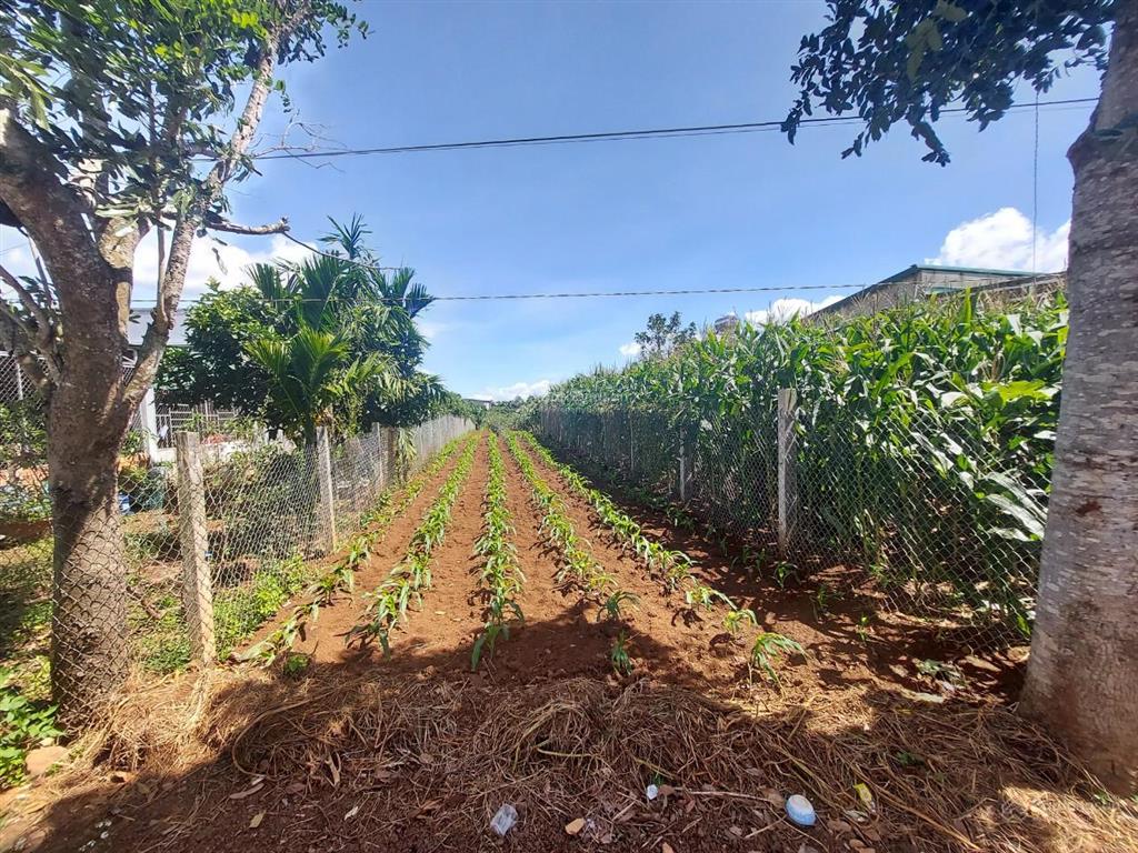 Bán lô đất đẹp giá đầu tư tại tân thành  đức trọng