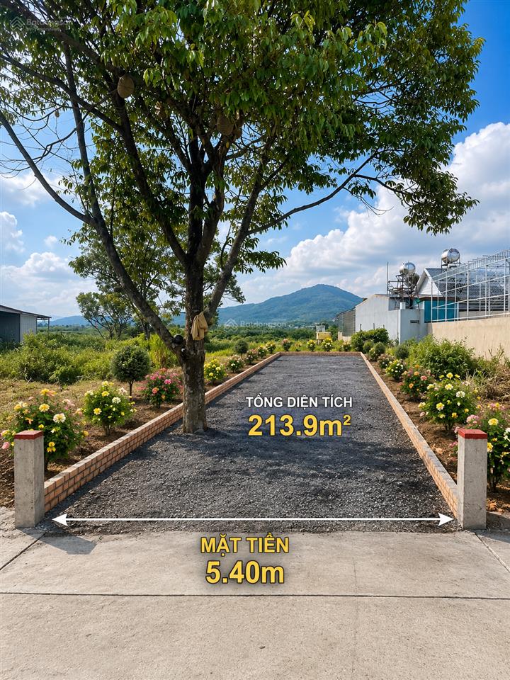 Bán đất tại xã liên hiệp, đức trọng, lâm đồng, 1,95 tỷ, 213 m2, chính chủ uy tín