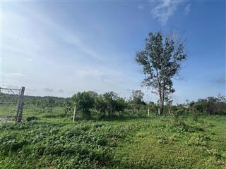 Bán đất đẹp giá đầu tư tại xã tiến thành, tp. phan thiết, 29 tỷ, 21000m2
