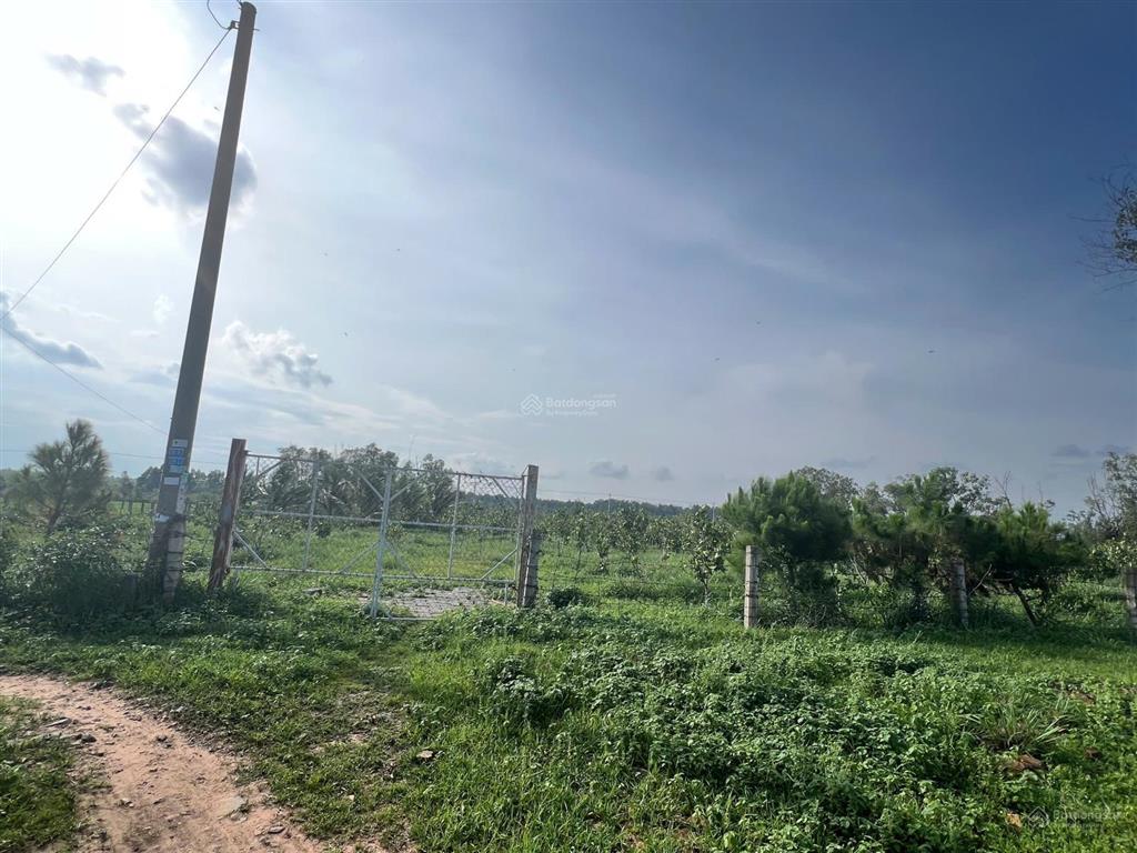 Bán đất đẹp giá đầu tư tại xã tiến thành, tp. phan thiết, 29 tỷ, 21000m2