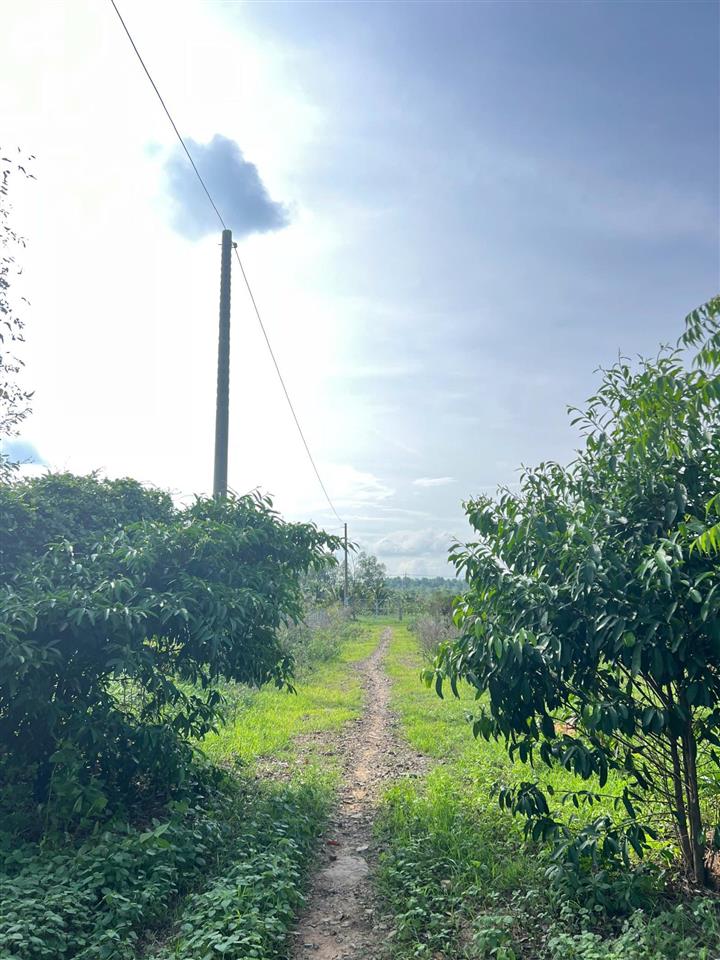Bán đất đẹp giá đầu tư tại xã tiến thành, tp. phan thiết, 29 tỷ, 21000m2