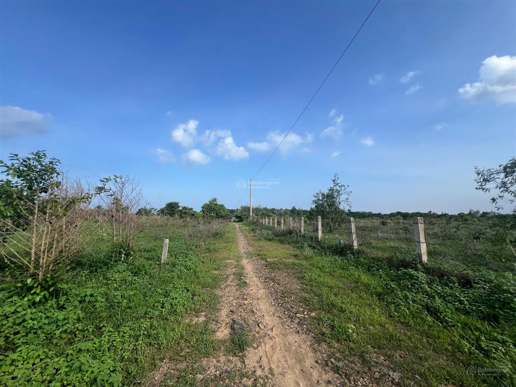 Bán đất đẹp giá đầu tư tại xã tiến thành, tp. phan thiết, 29 tỷ, 21000m2