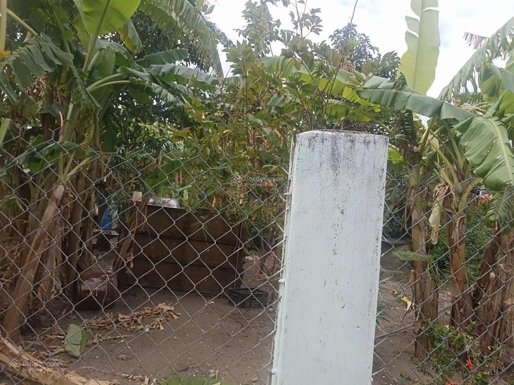 Bán đất đô thị, đường bàn cờ,hòa do 2, cam phúc bắc, cam ranh, khánh hòa