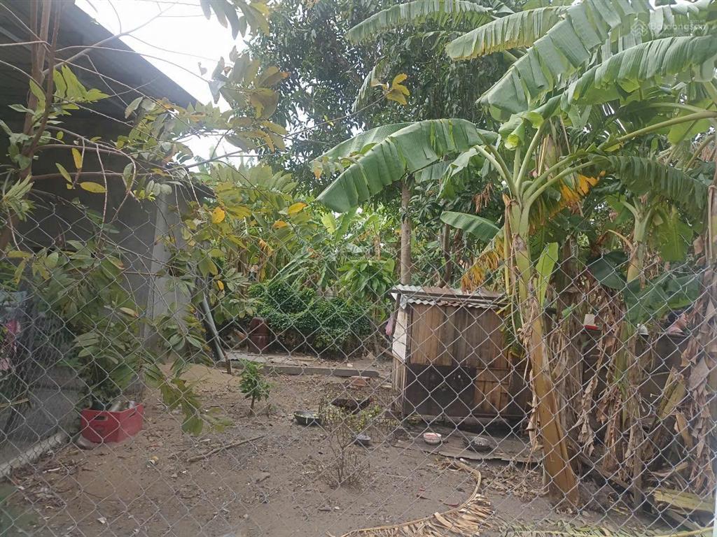 Bán đất đô thị, đường bàn cờ,hòa do 2, cam phúc bắc, cam ranh, khánh hòa