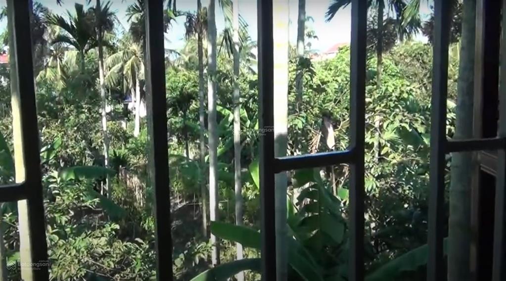 Bán nhà mặt đường số 71 khu phố đông thái, thị trấn vĩnh bảo. 105m2, rộng 4.75m.  chính chủ