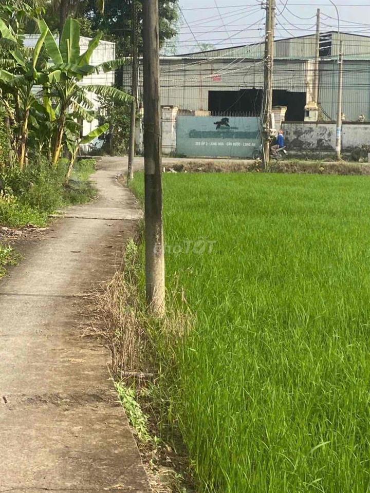 cần bán đất thổ cư