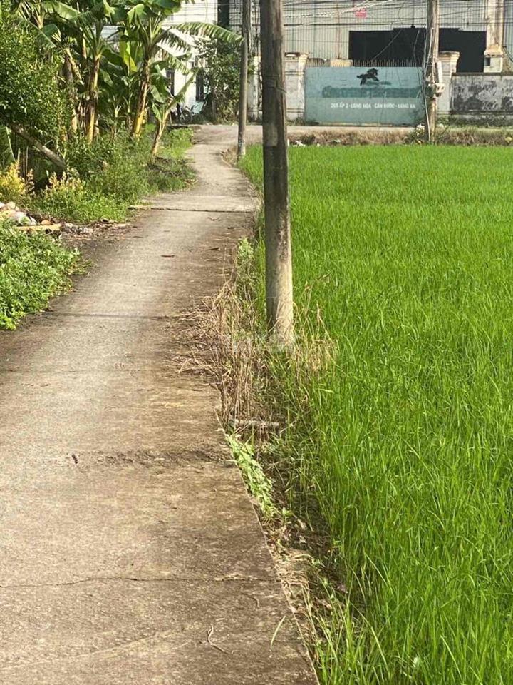 cần bán đất thổ cư